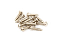 A group of twelve silver-colored metal screws with round heads on a white background.