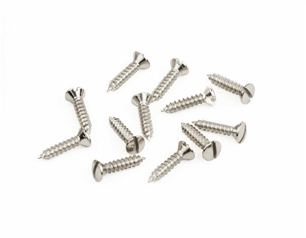 A group of ten silver metal screws with flat slotted heads scattered on a white background.