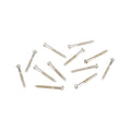 Twelve silver metal screws with flat round heads arranged on a white background.