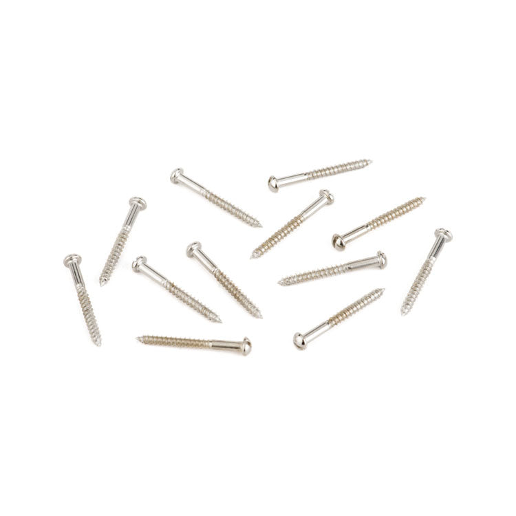 Twelve silver metal screws with flat round heads arranged on a white background.