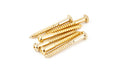 Six gold-colored metal screws arranged on a white background.