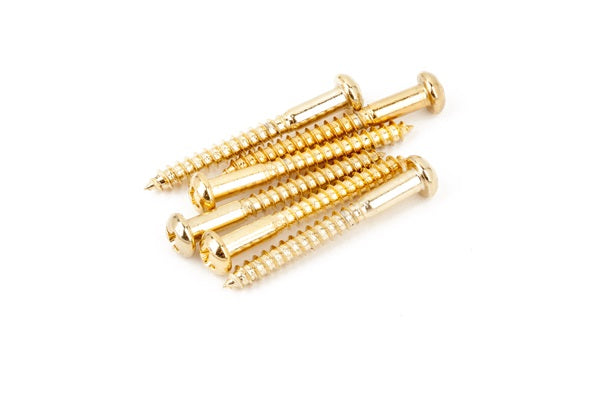 Six gold-colored metal screws arranged on a white background.