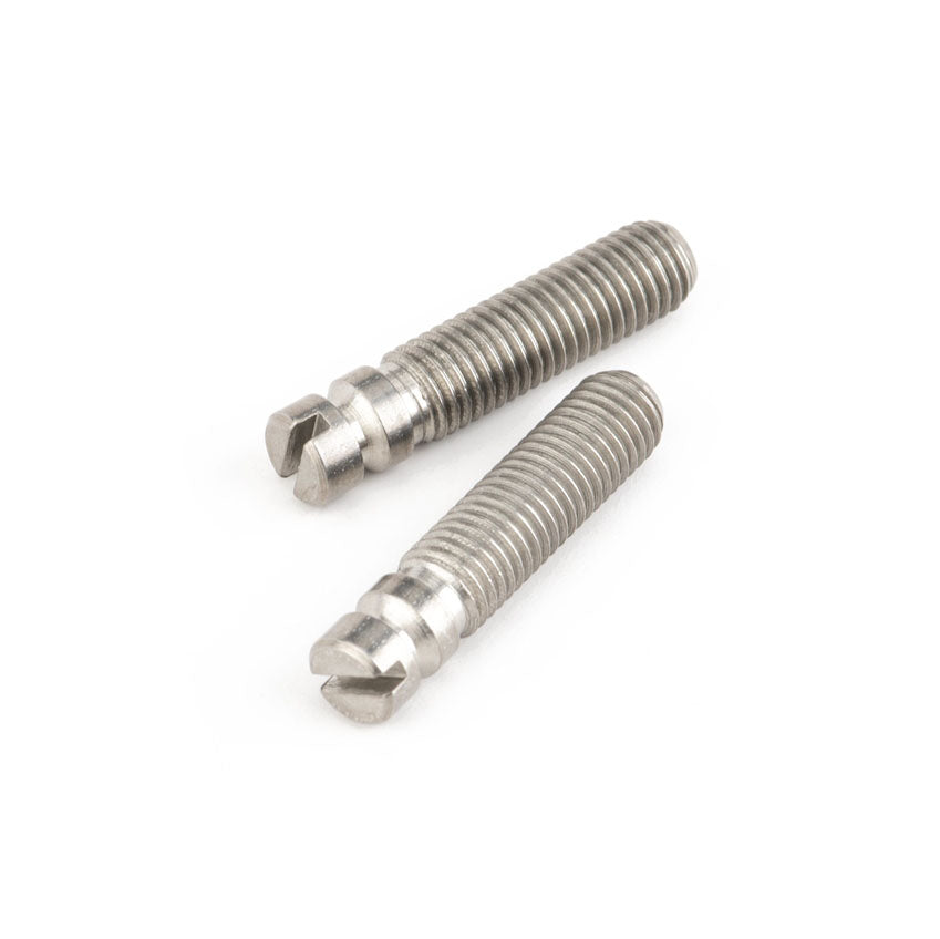 Two silver metal threaded screws with slotted heads on a white background.