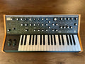 Moog Subsequent 37 Analog Synth - MINT