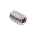 Close-up image of a small silver metal screw with internal hex socket.