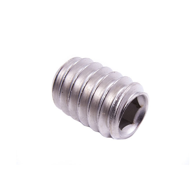 Close-up image of a small silver metal screw with internal hex socket.