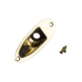 Gold-colored metal jack input plate with two screws shown on white background.