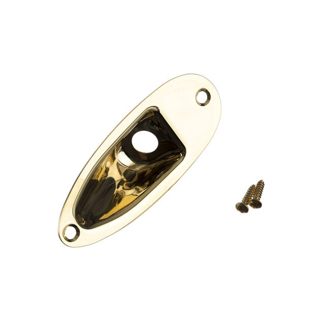 Gold-colored metal jack input plate with two screws shown on white background.