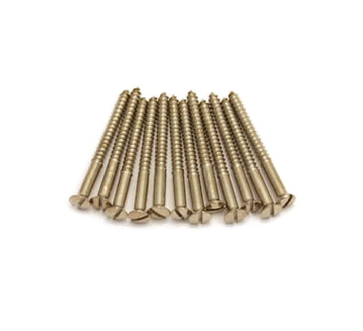 A group of gold-colored metal screws arranged neatly on a white background.