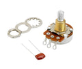 Rotary potentiometer with three terminals, a capacitor, and mounting hardware on a white background.