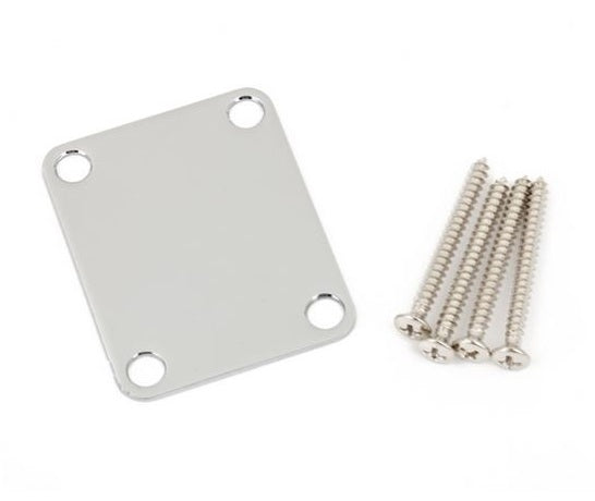 Rectangular silver metal plate with four screw holes and four matching screws on a white background.
