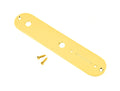 Gold-colored metal control plate with three holes and two small screws on a white background.