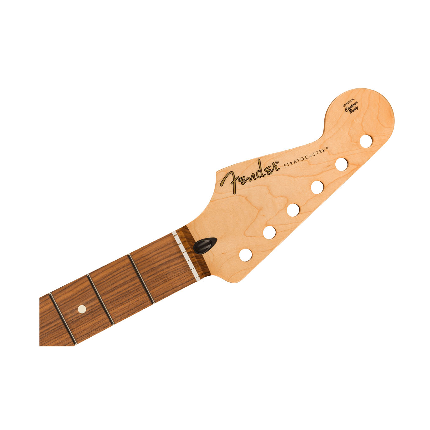 Close-up of a Fender Stratocaster guitar neck with a reverse headstock and Pau Ferro fretboard.