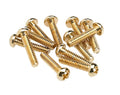 A group of twelve small gold screws with round heads arranged loosely on a white background.