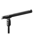 BP4029 Short Stereo Shotgun Microphone