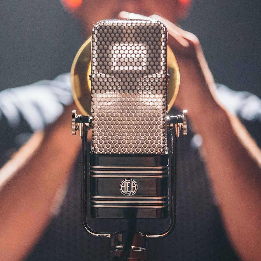 AEA R44C — Microphone, studio recording microphone body