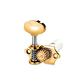 Gold and silver classical guitar machine head tuner with engraved text and gear visible