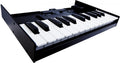 Black and white electronic keyboard with 25 keys and black side panels shown from angled front view.