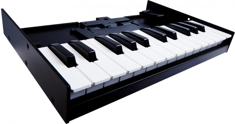 Black and white electronic keyboard with 25 keys and black side panels shown from angled front view.