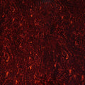 Close-up of a red tortoise shell patterned plastic sheet with black and orange details.