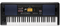 KORG EK-50U 61-key Portable Arranger Keyboard With American Styles