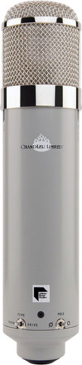 Silver cylindrical microphone with metal mesh grille and two toggle switches on the base.