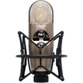 Silver condenser microphone with black shock mount and two switches on the front panel