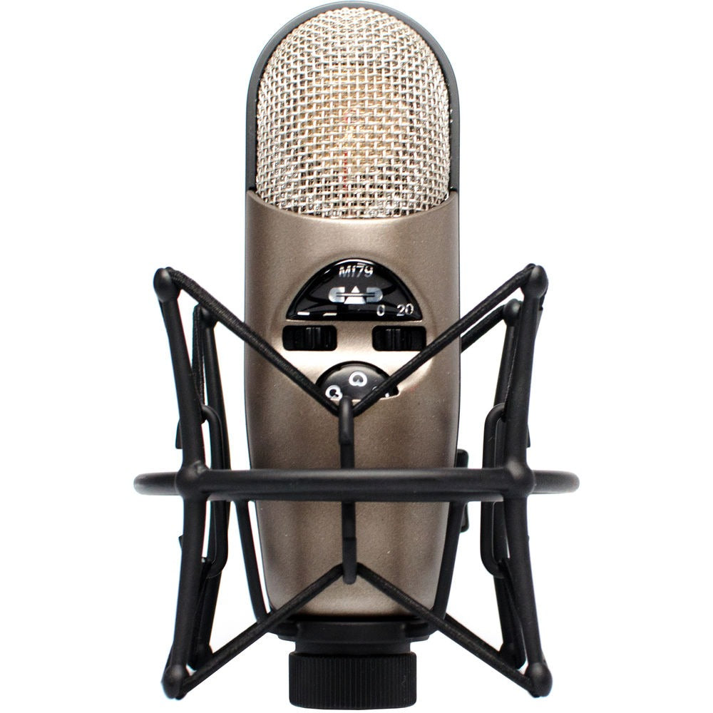 Silver condenser microphone with black shock mount and two switches on the front panel