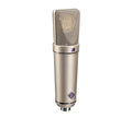Silver cylindrical studio microphone with mesh head and Neumann logo on the body.