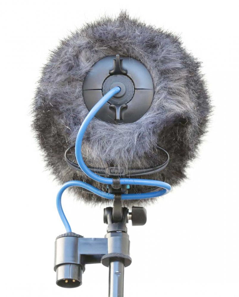 SCHOEPS MiniCMIT + Cinela COSI — Microphone, studio recording microphone body