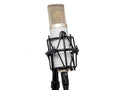 Silver condenser microphone with gold mesh grille mounted in black shock mount on stand.