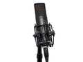 Black condenser microphone mounted in a shock mount on a microphone stand with XLR cable attached.