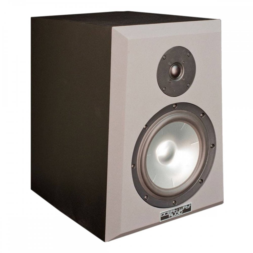 Ocean Way Audio Pro2A active two-way studio monitor with 8-inch aluminum cone woofer and 1-inch silk dome tweeter in a gray trapezoidal ported cabinet