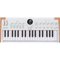 ARTURIA ASTROLAB 37 | 37 Key Full-weighted Hammer Action Stage Keyboard
