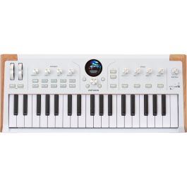 ARTURIA ASTROLAB 37 | 37 Key Full-weighted Hammer Action Stage Keyboard