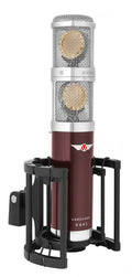 Front view of a VANGUARD V44S stereo microphone with a maroon body, dual gold mesh capsules, and a black shock mount.