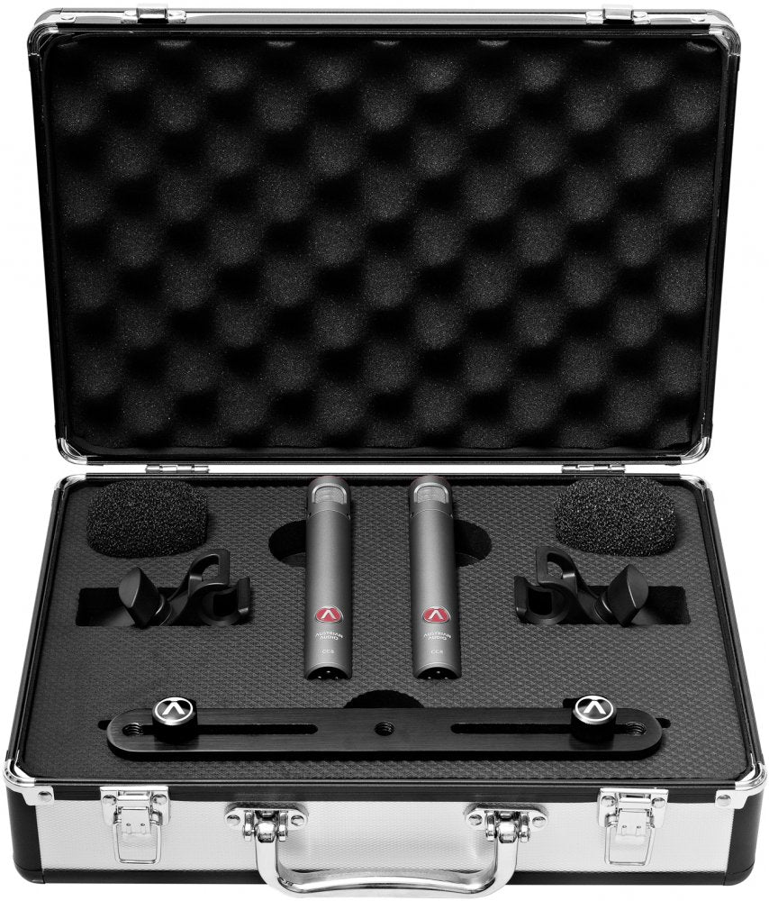 Two small microphones with accessories in a foam-padded hard carrying case.