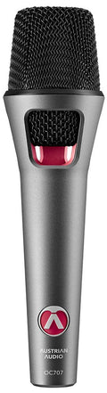 Silver handheld microphone with black mesh grille and red accent showing brand and model name.