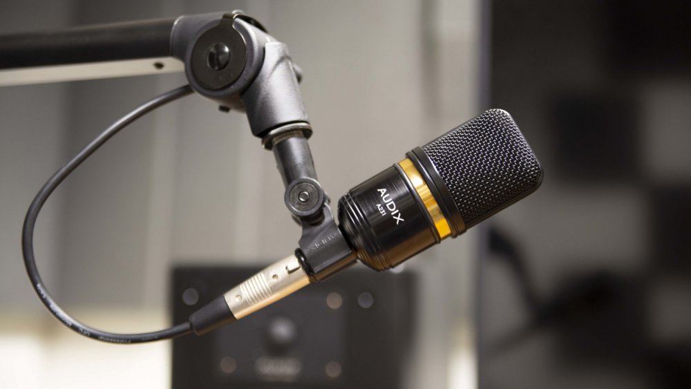 AUDIX A231 — Microphone, studio recording microphone body