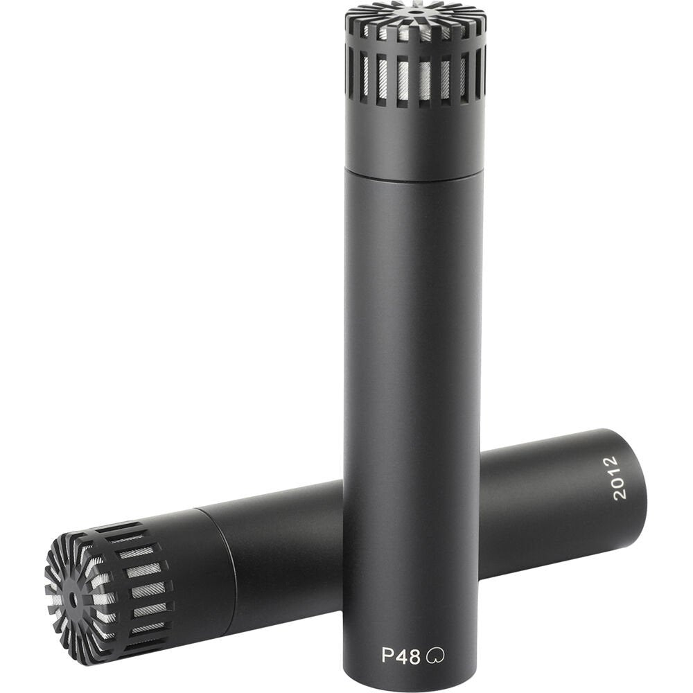 Two black studio microphone capsules with grille and mesh, one standing and one lying down.