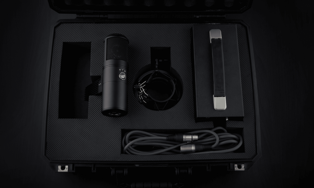 Warm Audio WA-8000 Large-Diaphragm Multipattern Tube Condenser Microphone - Black, studio recording microphone body