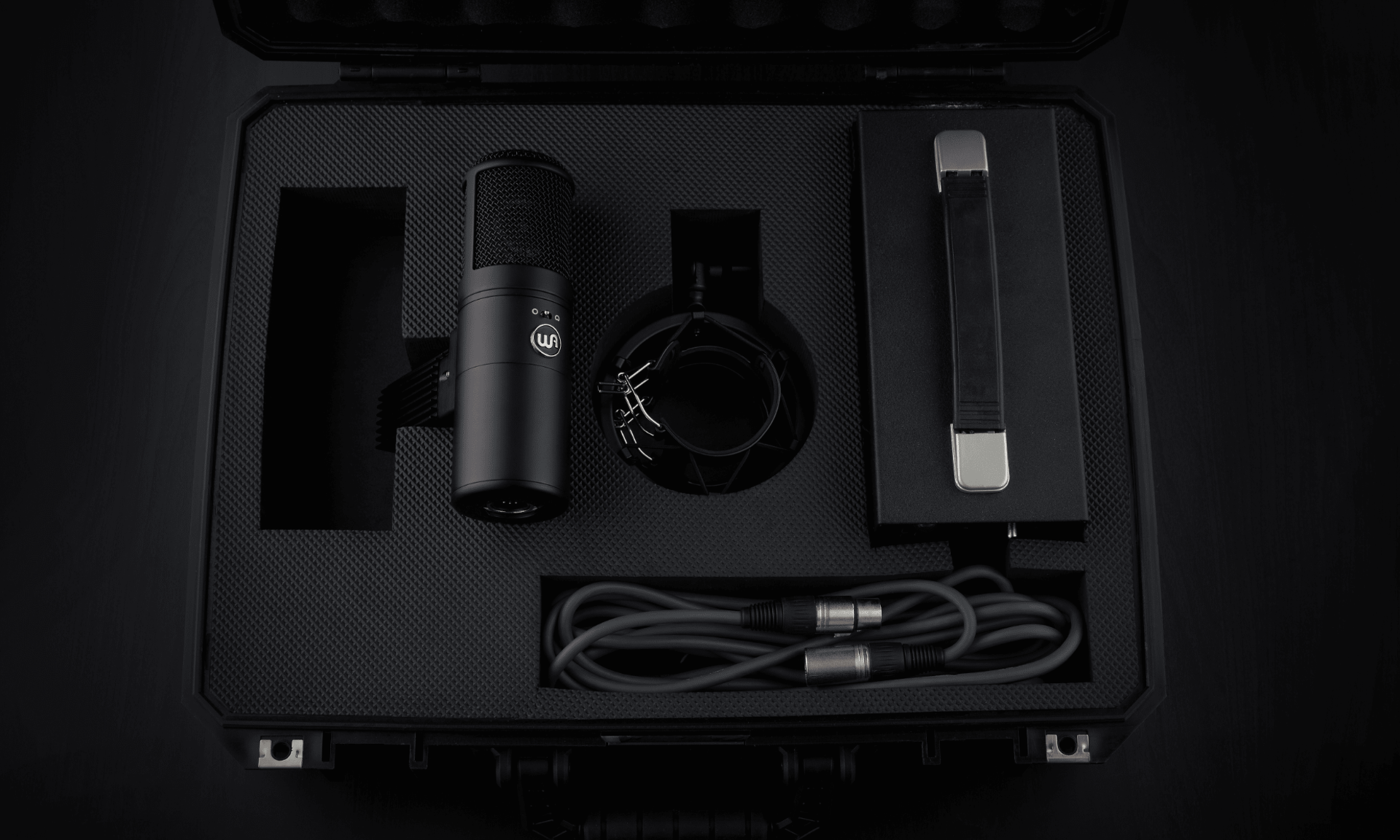 Warm Audio WA-8000 Large-Diaphragm Multipattern Tube Condenser Microphone - Black, studio recording microphone body