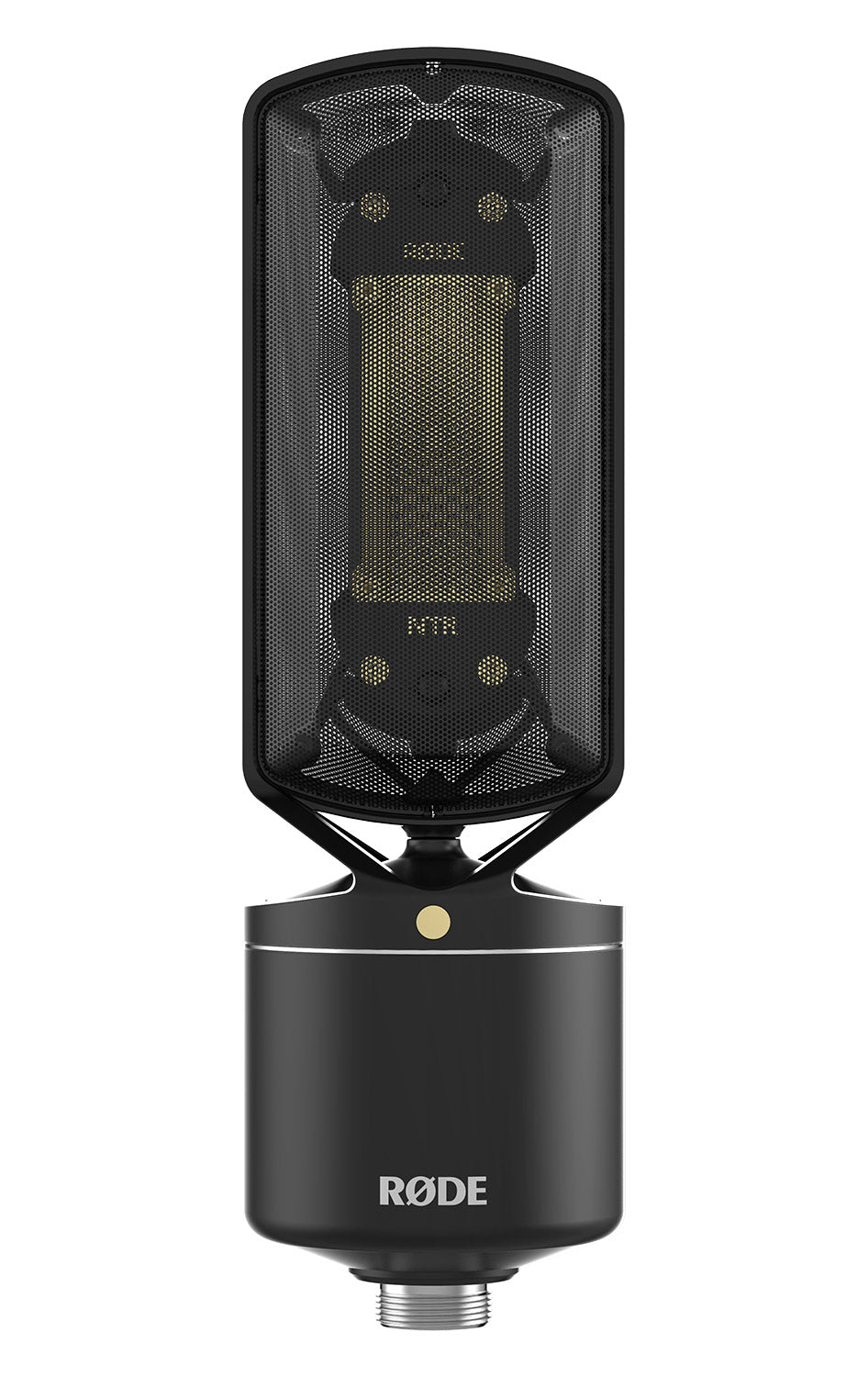 NTR Active Ribbon Microphone