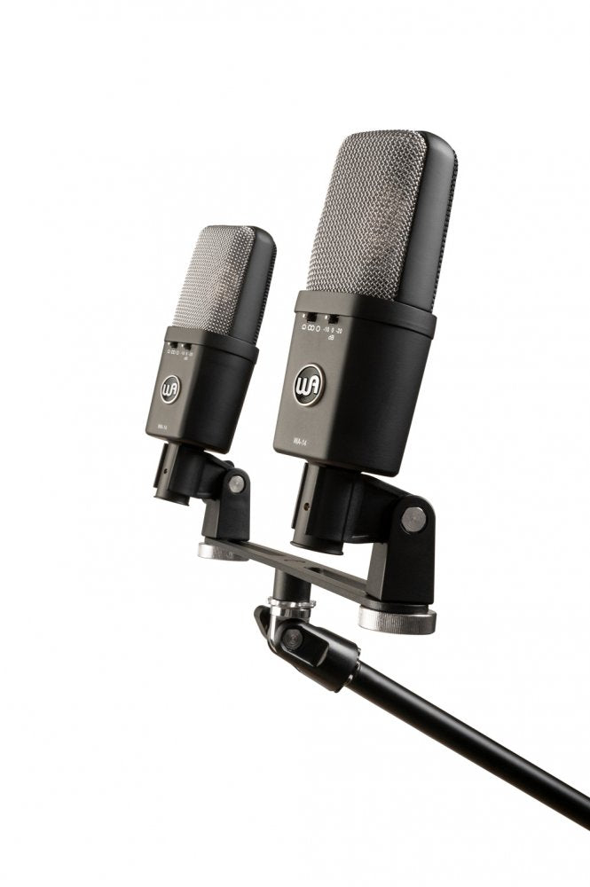 Two black and silver microphones mounted on a dual microphone mount with adjustment knobs.