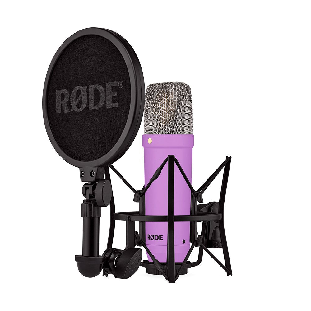 RODE NT1 Signature PURPLE — Microphone, studio recording microphone body