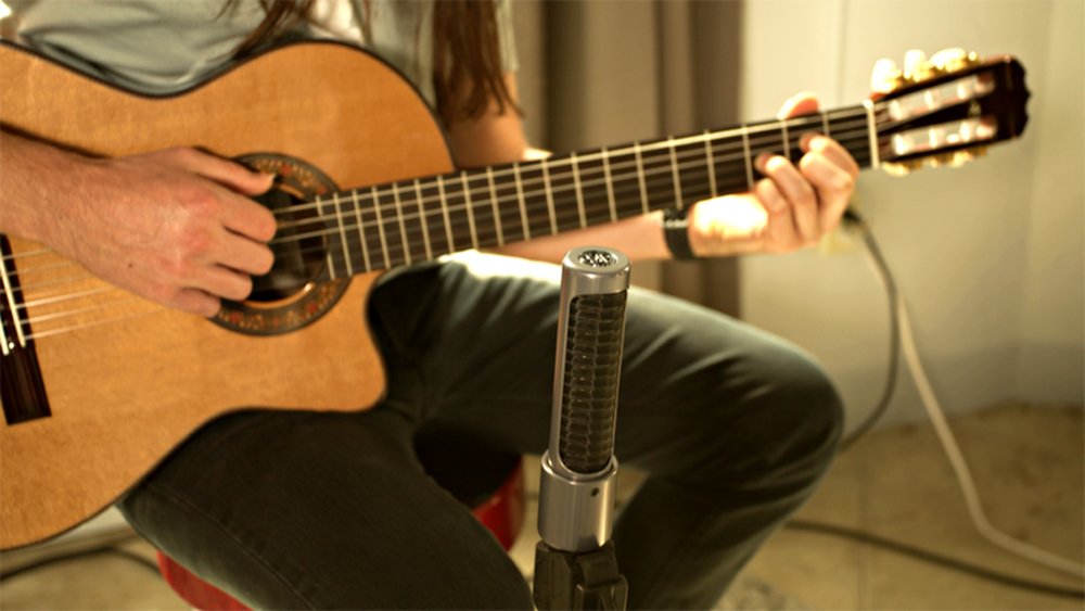 AEA N13 — Microphone, studio recording microphone body
