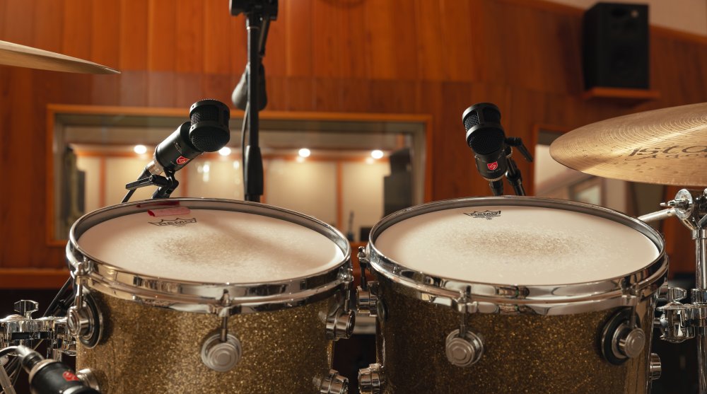 LAUTEN AUDIO TOM MIC — Microphone, studio recording microphone body