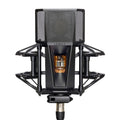 Black studio microphone with visible internal tube, mounted in a shock mount and equipped with a pop filter marked LEWITT.