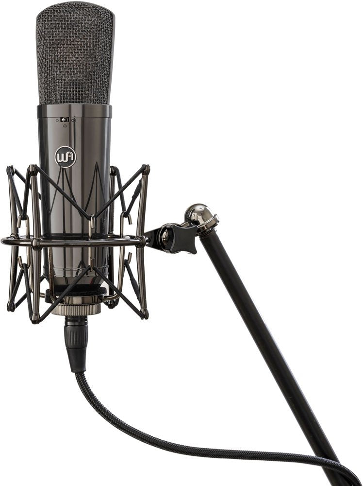 WARM AUDIO WA-87 Stereo Pair - Limited Edition Titanium — Microphone, studio recording microphone body
