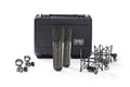 Two black and gray microphones with shock mounts, clips, and a black carrying case labeled Warm Audio.